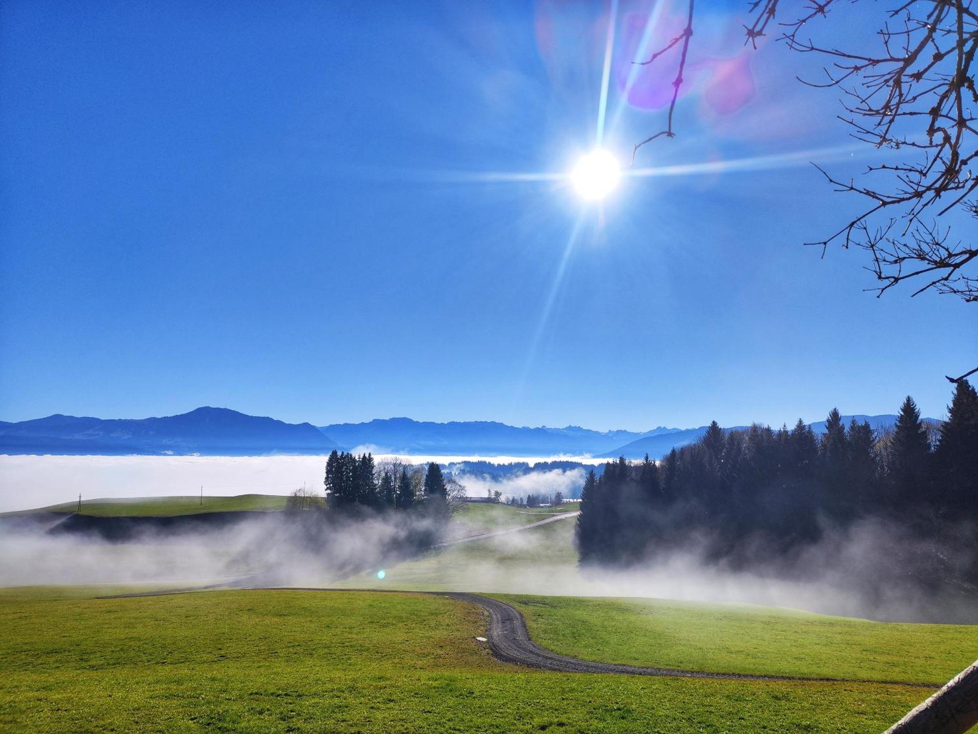 Alpseegruenten - Die Ferienwohnung Immenstadt im Allgäu Eksteriør billede